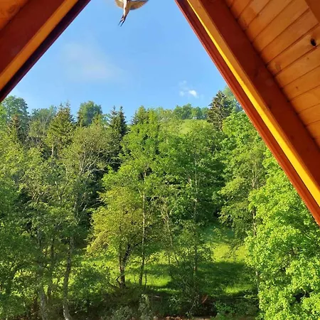 Brvnara Jahorinka Horská chata Jahorina
