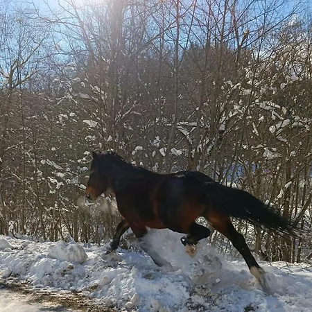 Horská chata Brvnara Jahorinka *