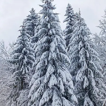 Brvnara Jahorinka * Jahorina